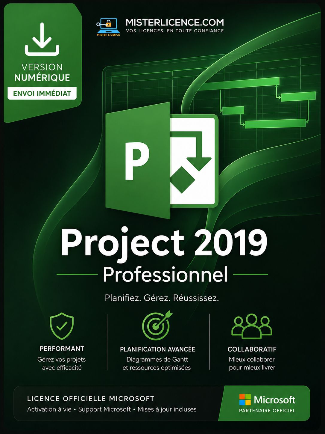 Ms Project 2019 Pro 5 PC - Licence authentique