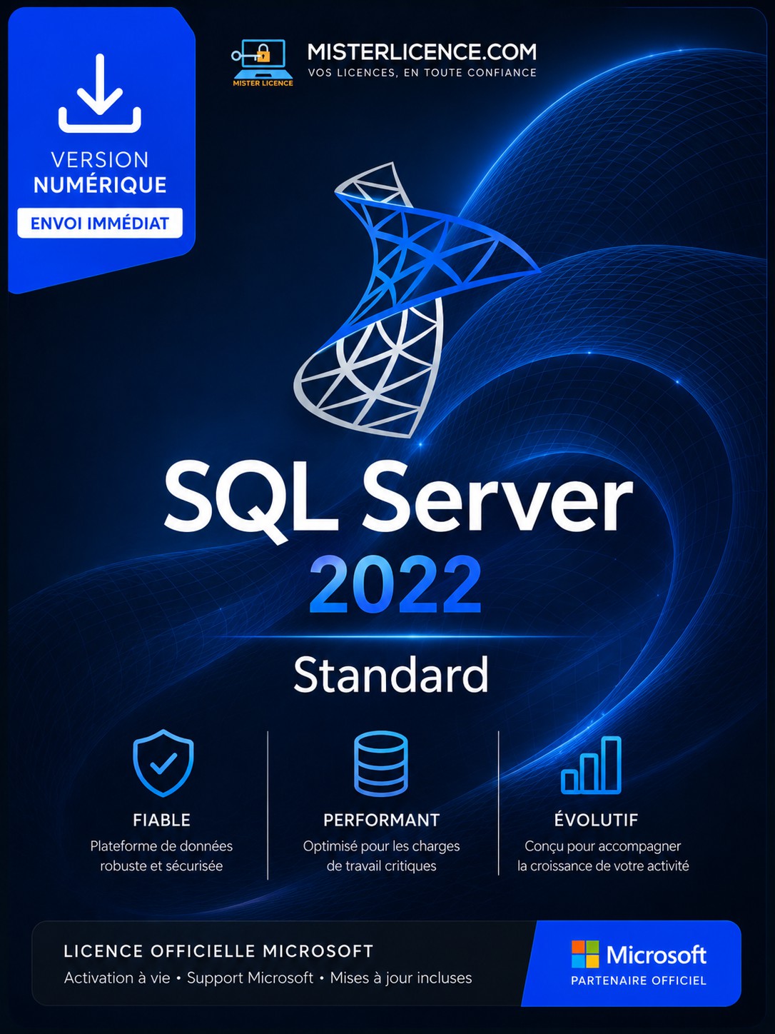 SQL Server 2022 Standard - Licence authentique